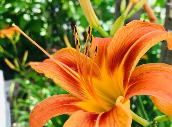 къща наде Дом отдыха